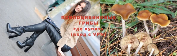 прущий лед Михайловск